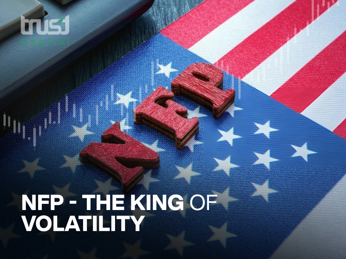 King of Volatility
