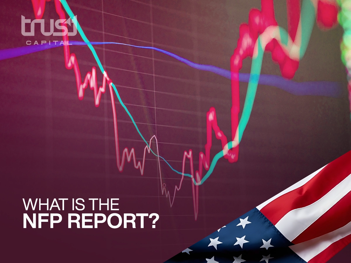 What Is the NFP Report